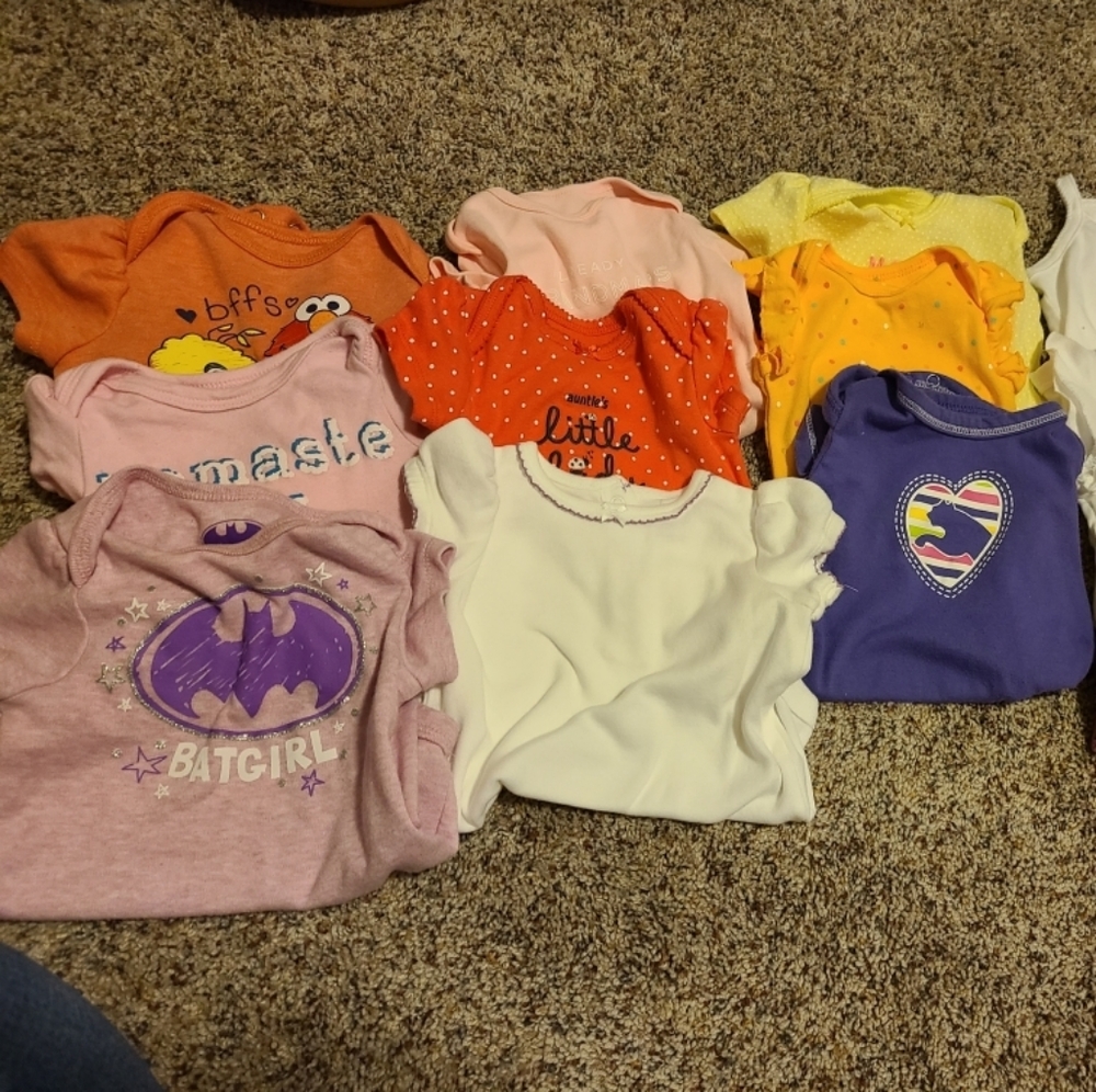 Lot of 12 baby girls 6 or 6/9 month onsies